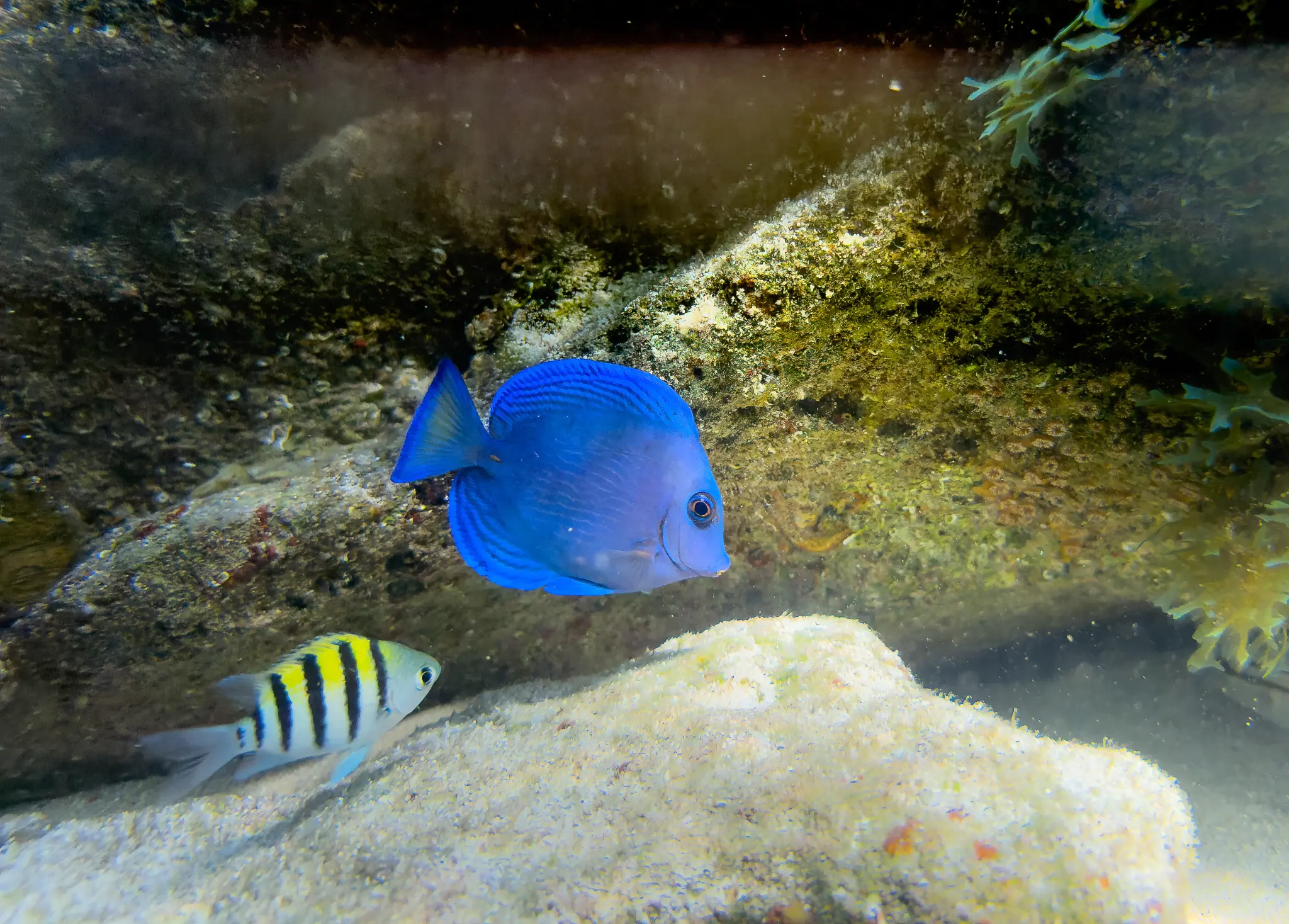 AdobeStock_1916567542.jpeg