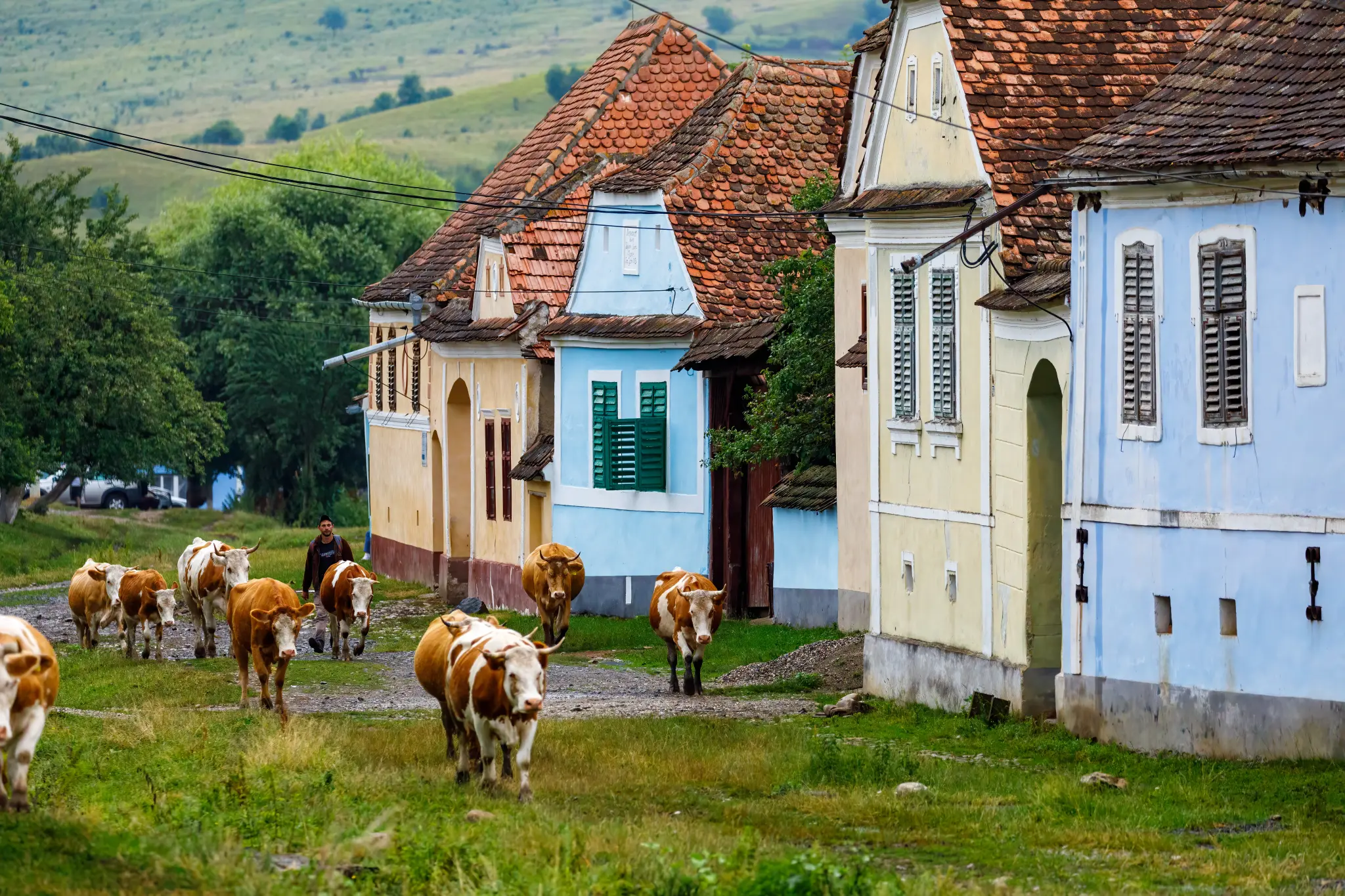 AdobeStock_613874430.jpeg