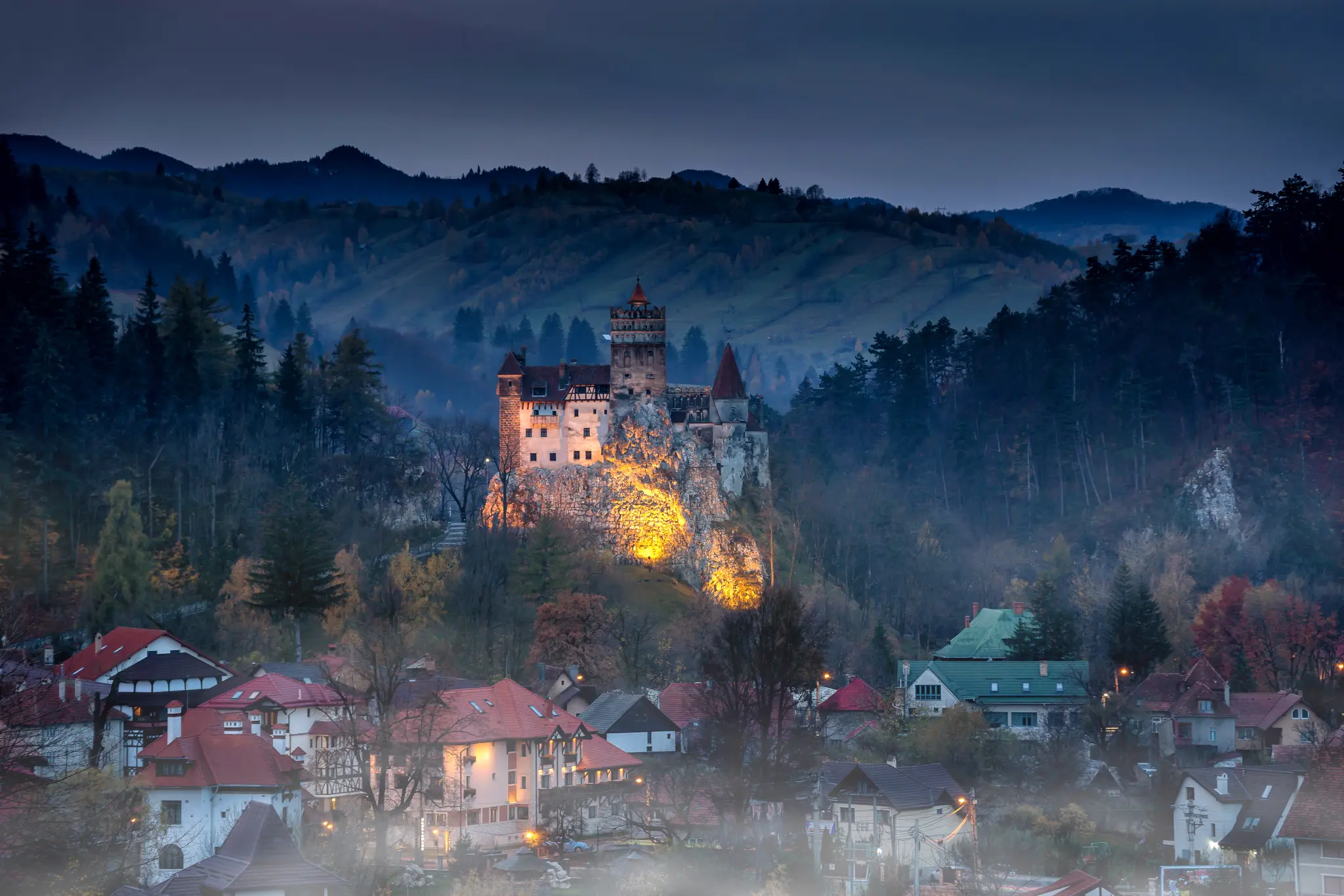 AdobeStock_215833970.jpeg