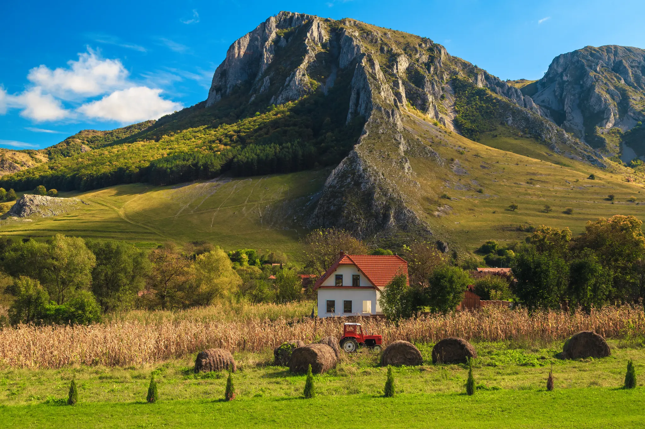 AdobeStock_394347066.jpeg