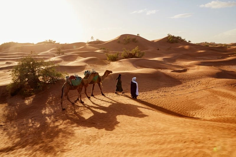 Wahiba_Sands,_Oman_-_Fabien_Bazanegue_Unsplash.jpg