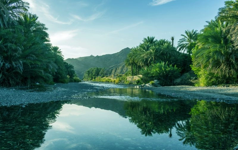 Wadi_Bani_Khalid_in_the_morning,_Oman_-_Pixabay.jpg