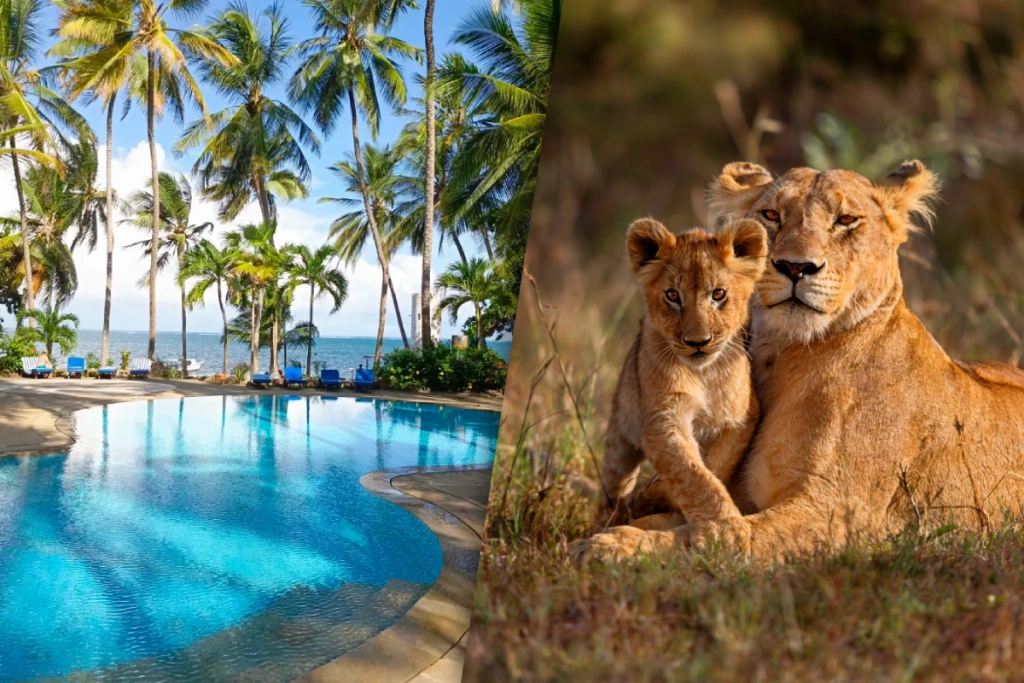 Circuit Jet tours Safari Tsavo East 2J1N et Séjour au Severin Sea Lodge