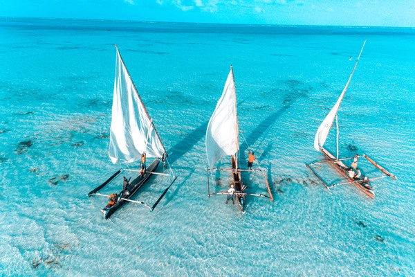 265916010.jpg