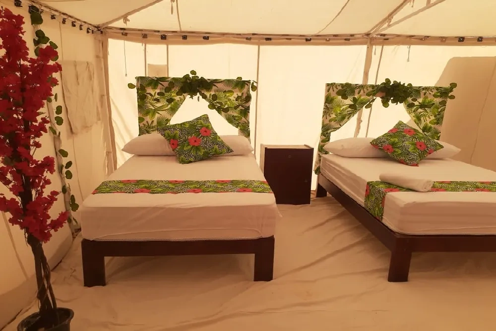 chambre_tropical.webp