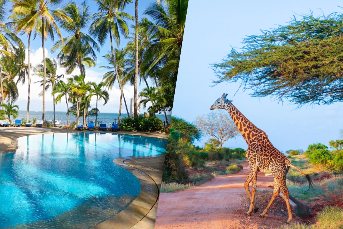 Vignettes_Severin.png