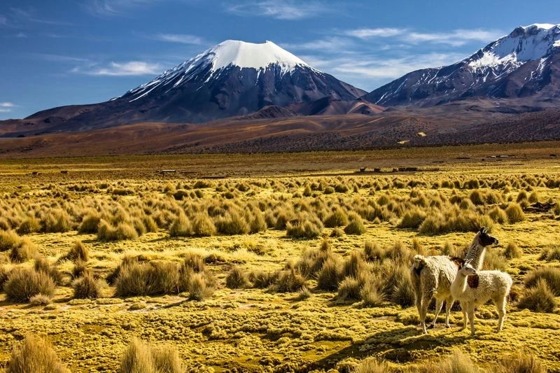 Circuit découverte de la Bolivie, la perle des Andes