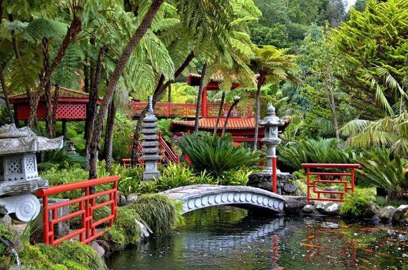 Fotolia_86005078_Monte_Palace_Tropical_Garden.jpg
