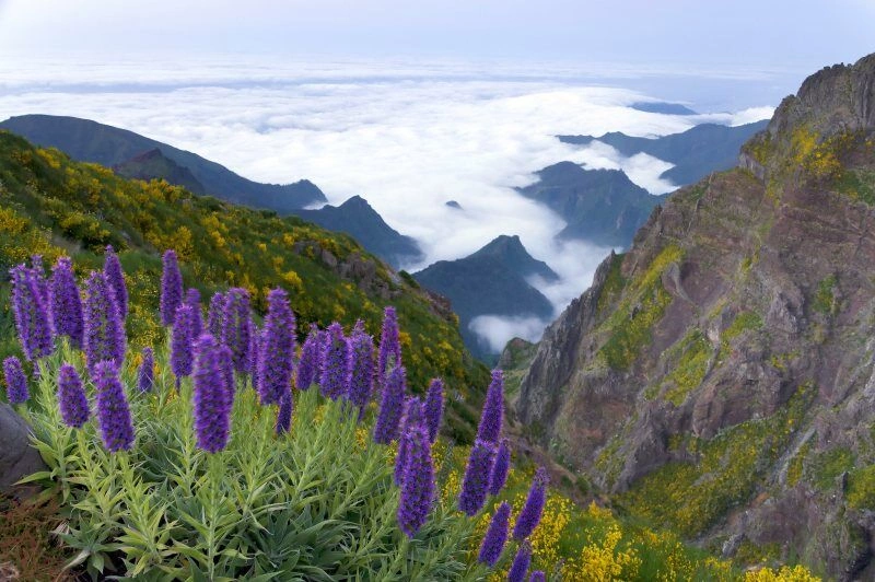 Pico_do_Arieiro_AdobeStock_86075172.jpg