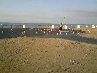 Appartement à la mer à La Panne