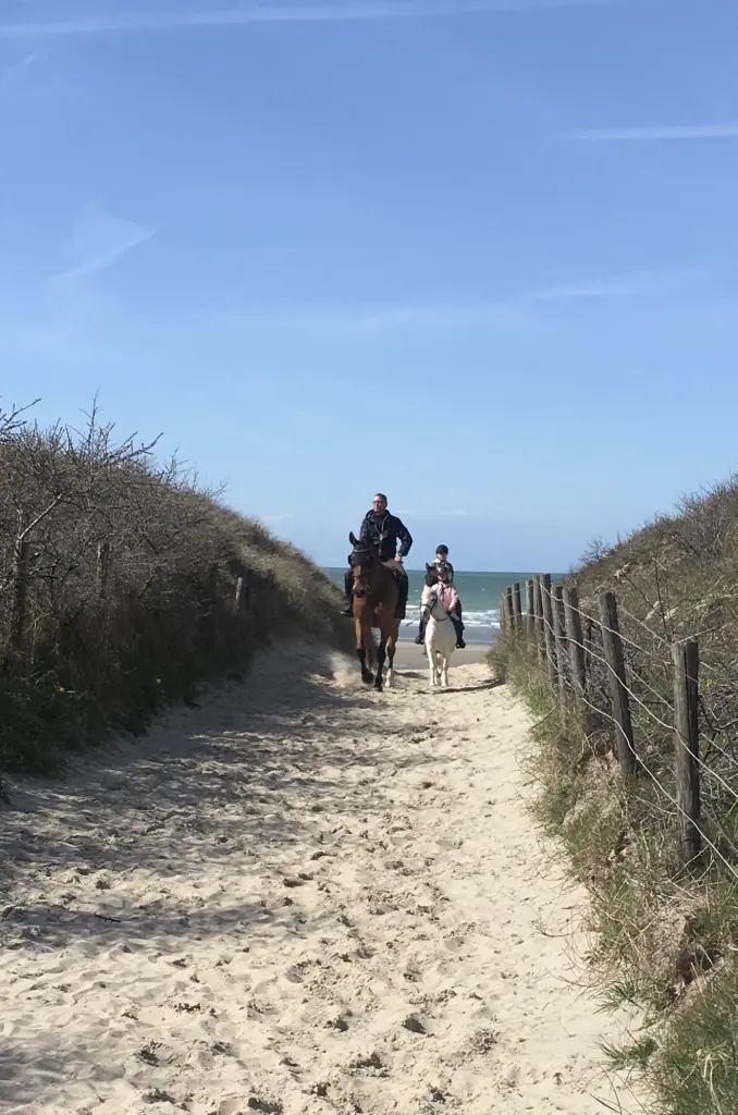 Superbe studio avec vue sur mer dans la réserve à la panne
