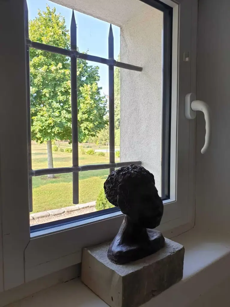 Entre Luberon et Alpilles, mas provençal dans son oliveraie et sa piscine privée