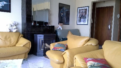 Bel appartement sur la digue à Saint-Idesbald