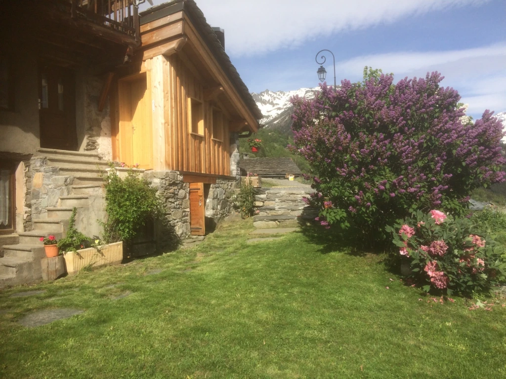Grand beau chalet 22p. Jardin, Sauna, parking Vue plein sud