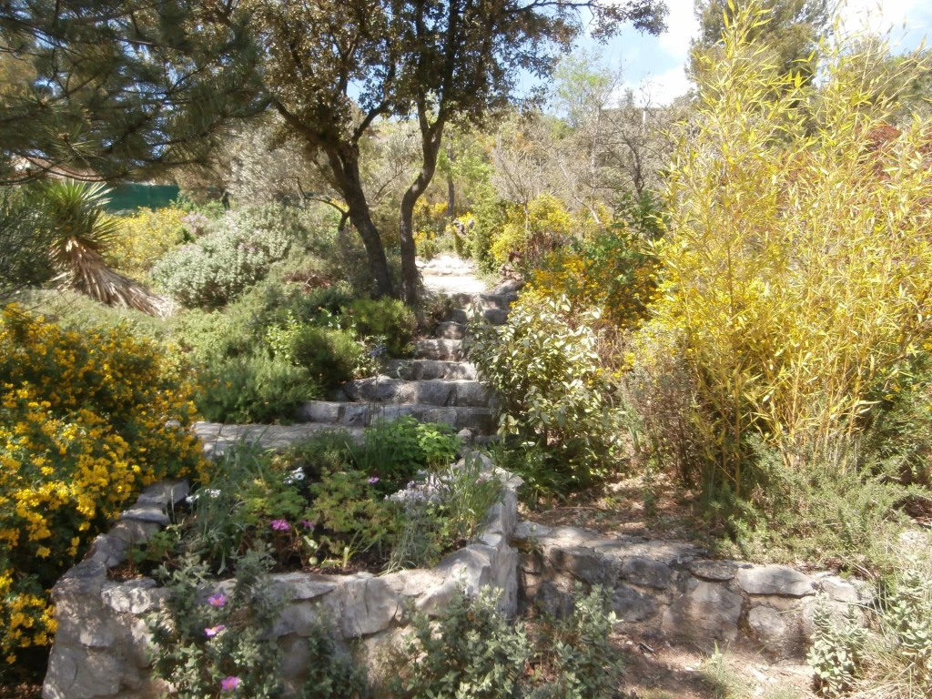 Location Provence Villa 10 pers.sur 5000m/carré cloturés, piscine privée, climatisation voir site personnel maslesoliviers.fr