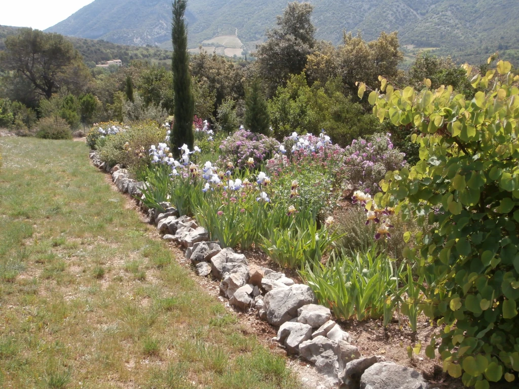 Location Provence Villa 10 pers.sur 5000m/carré cloturés, piscine privée, climatisation voir site personnel maslesoliviers.fr