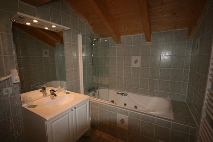 Châtel de 10 à 19 pers 380 m²