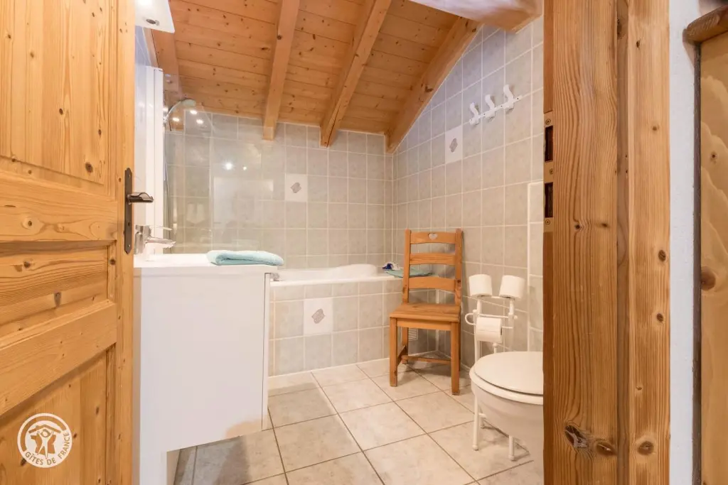 Châtel de 10 à 19 pers 380 m²