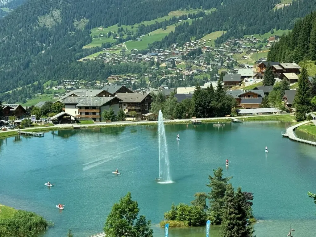 Châtel de 10 à 19 pers 380 m²