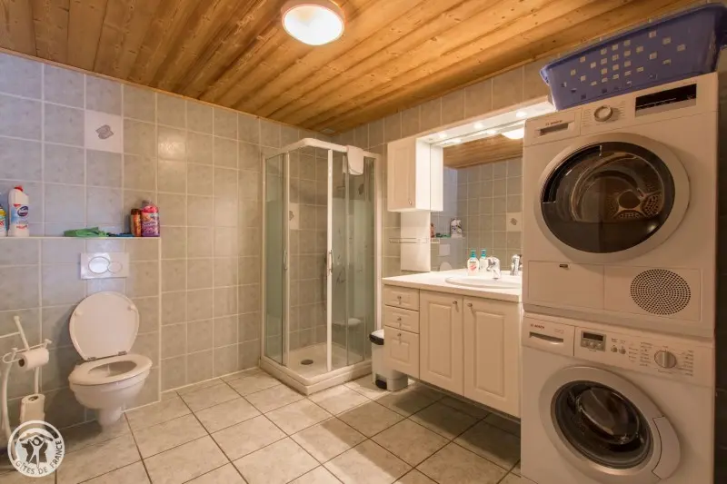 Châtel de 10 à 19 pers 380 m²