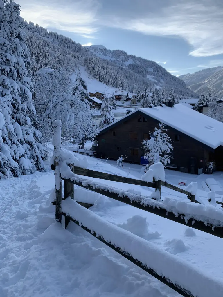 Châtel de 10 à 19 pers 380 m²
