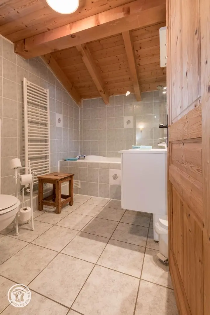 Châtel de 10 à 19 pers 380 m²