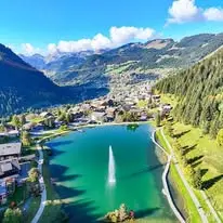Châtel de 10 à 19 pers 380 m²